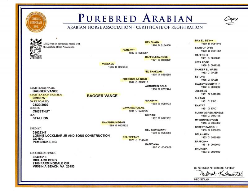 AHA Registration # 0598875