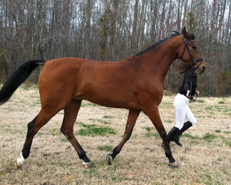 Insufficient Funds sold in 3 weeks!