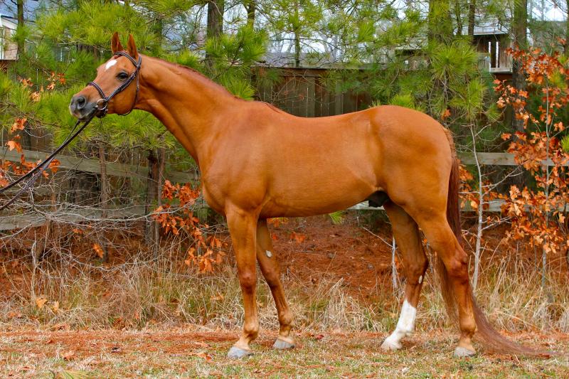 Bagger Vance Sold in 24 Hrs!