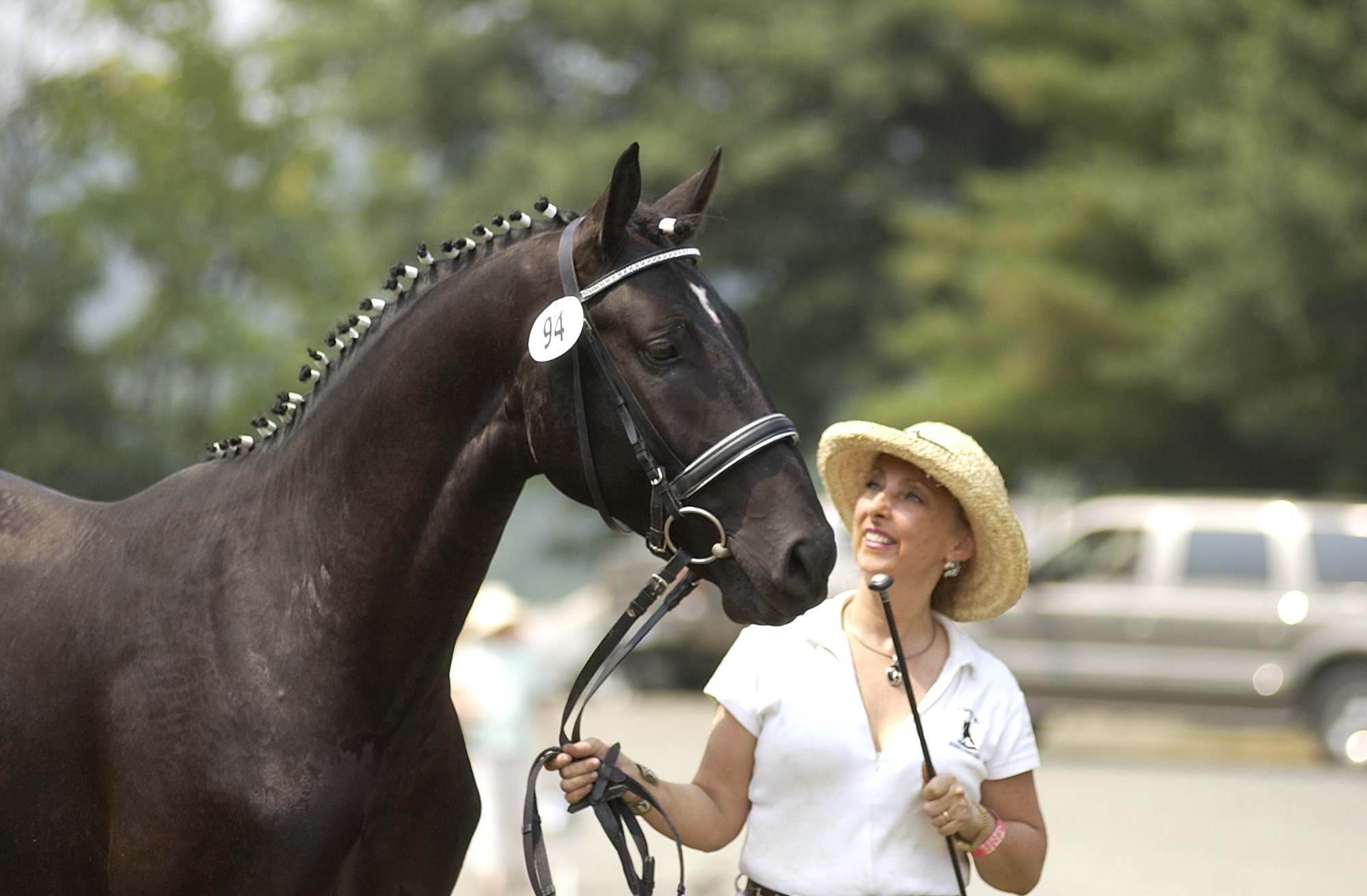 Rubinhall by Rotspon/Donnerhall and Debra Crockett Maddux